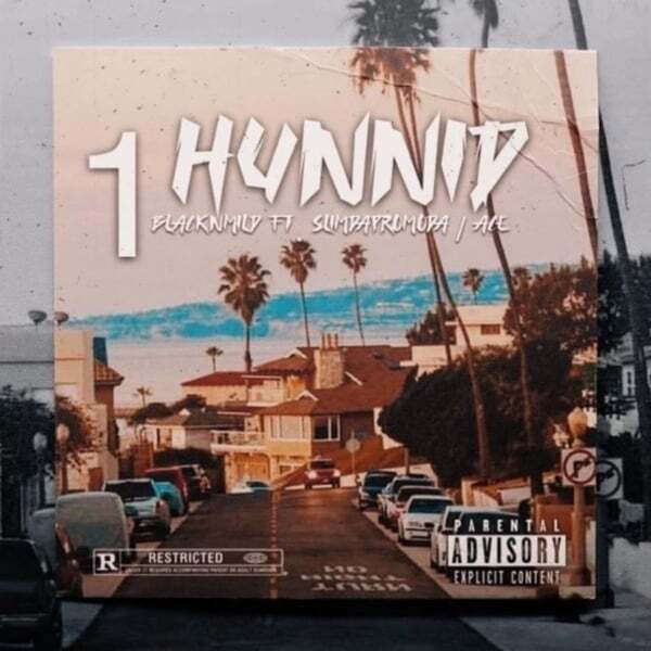 Cover art for 1 Hunnid